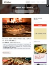Orion Blog - Super Bloggers Choice with Video CMS Screenshot 6
